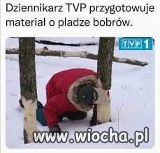 TVP1