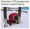 TVP1