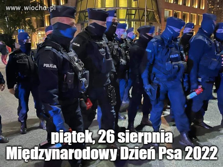 Dzień psa