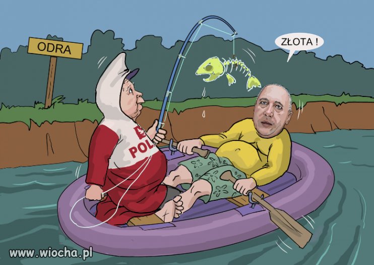 W kaczylandzie nawet złotą rybkę szlag trafił 