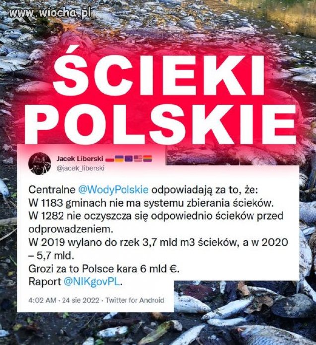 Ale kasę z UE wzięli