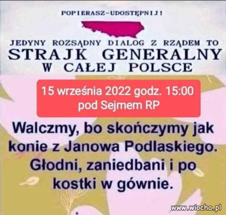 Tylko to tu zostawię