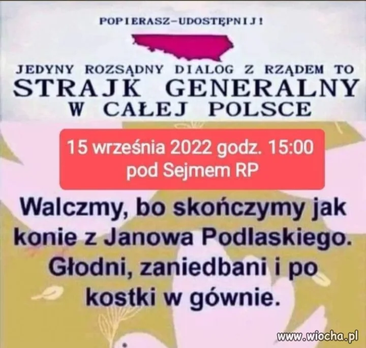 Tylko to tu zostawię