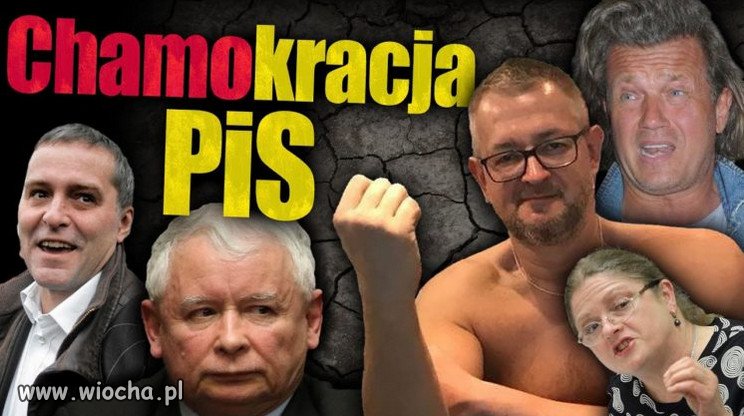 Holota wybrala holote do wladzy i teraz rzadza Polska!