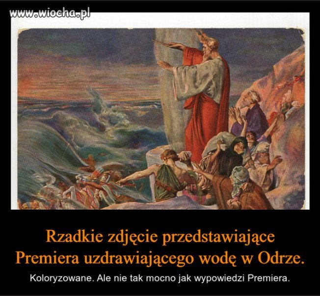 Pinokio: Skażenie Odry to "zdarzenie o charakterze naturalnym"