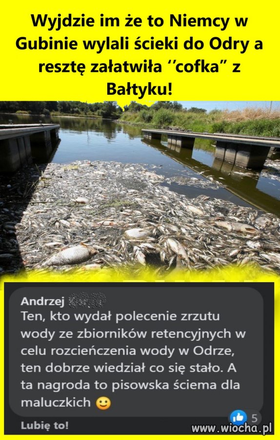 Wyjdzie im że to Niemcy w Gubinie wylali ścieki do Odry a resztę załatwiła ‘’cofka’’ z Bałtyku!