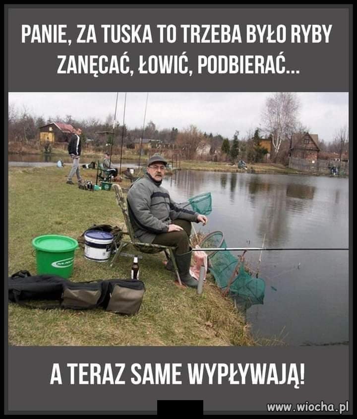 Kraina rybami w rzekach płynąca...do góry brzuchem