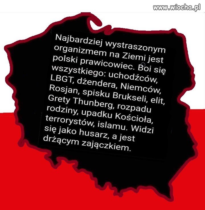 No i oczywiście boją się Tuska jak diabeł święconej wody