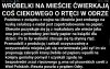 Historia której od rządowych debili nie usłyszycie