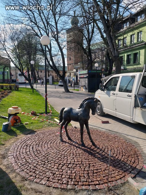 Kasztanka naczelnika państwa