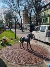 Kasztanka naczelnika państwa