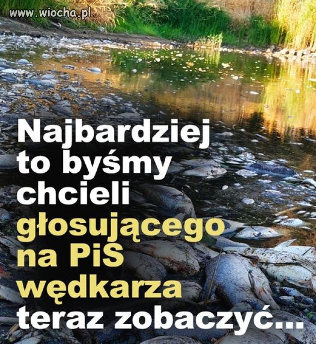 Cudów nie ma
