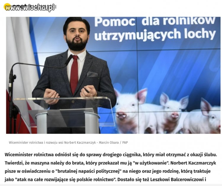 Pisowska bida zes..ła się ze strachu i piszczy