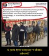 To tylko Polska PiSu, popierana przez PiSjugend...