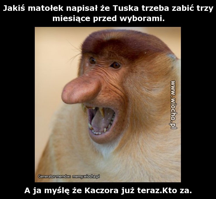 Jakiś matołek napisał że Tuska trzeba zabić trzy
