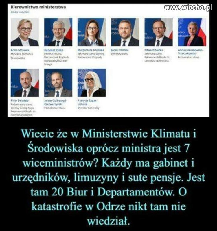 Witamy w Polsce 