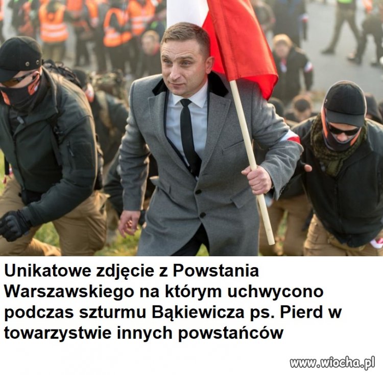 PISowski bohatyrowicz