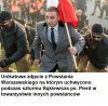 PISowski bohatyrowicz