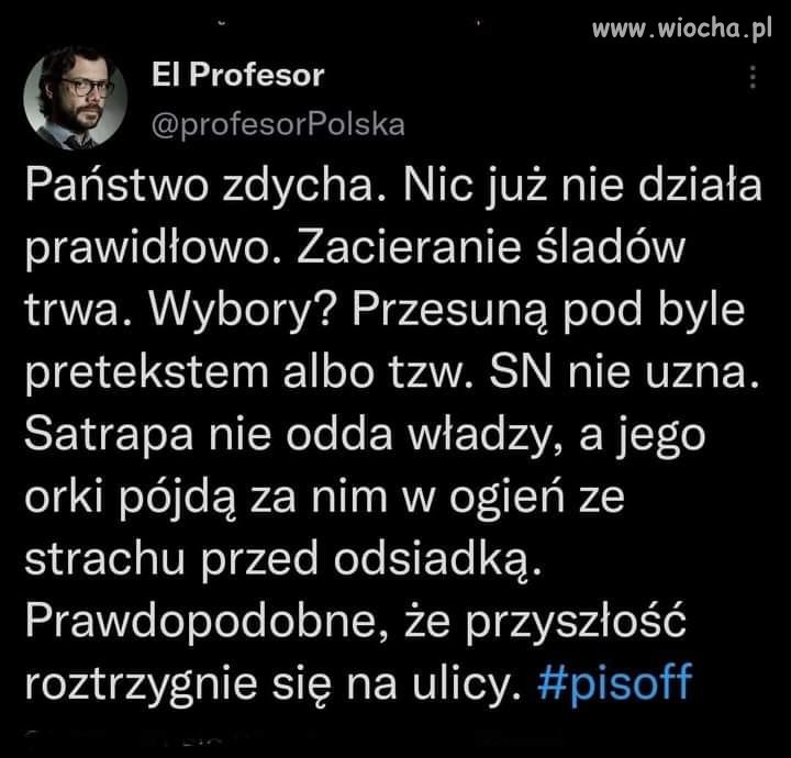 Państwo zdycha 
