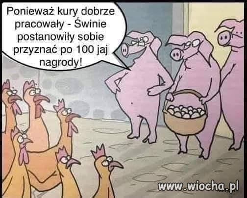Coś wam to przypomina?