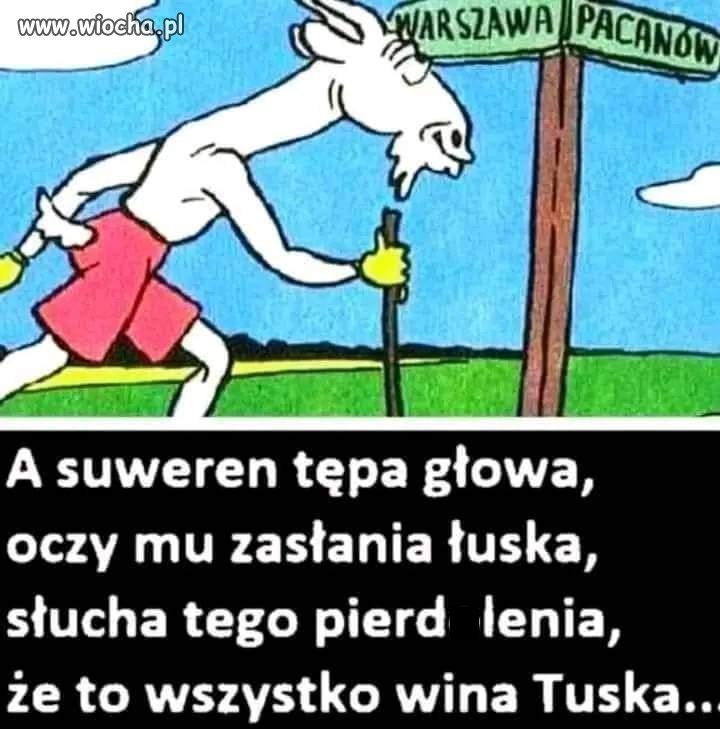 Tak jest
