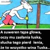 Tak jest