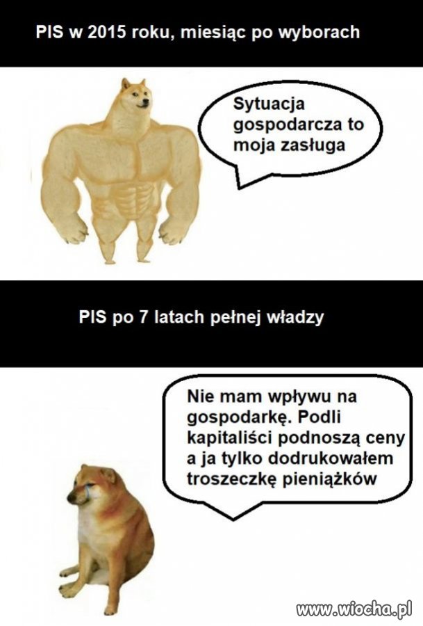 K.u.*.w.y pisowskie 
