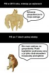 K.u.*.w.y pisowskie 