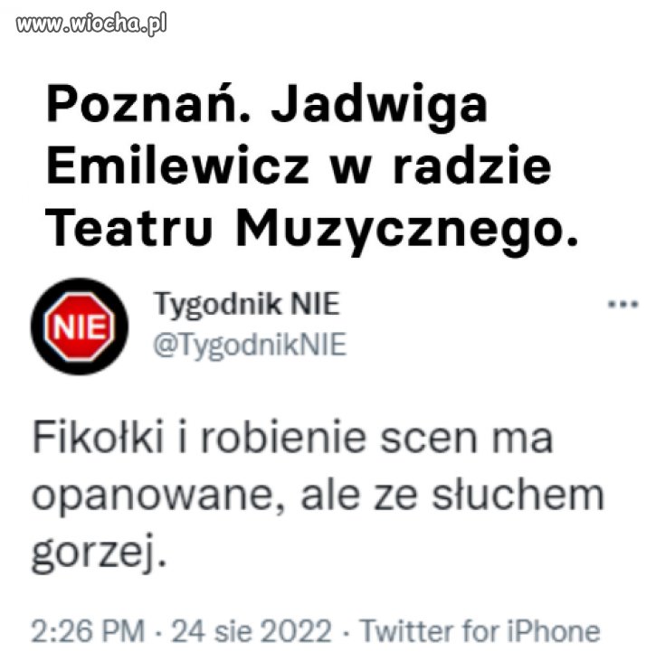 Jadwiga Emilewicz i jej niezawodny słuch 