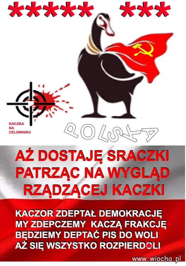 Tak to wygląda