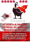 Tak to wygląda