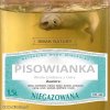 Nowy smak lata