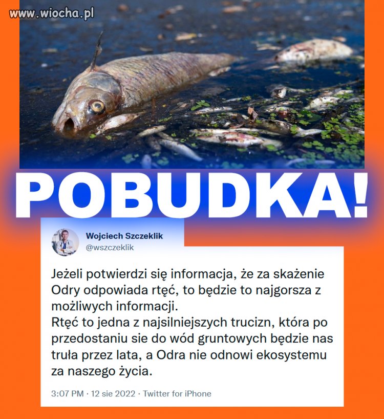 Niebywałe, że my nadal nie wiemy na 100% co za tę katastrofę ekologiczną odpowiada.