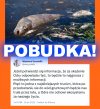 Niebywałe, że my nadal nie wiemy na 100% co za tę katastrofę ekologiczną odpowiada.