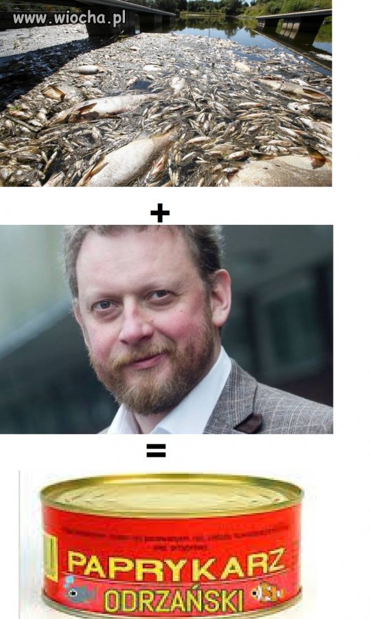 Pomysł na biznes