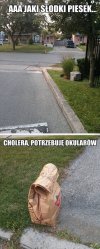 Okulary