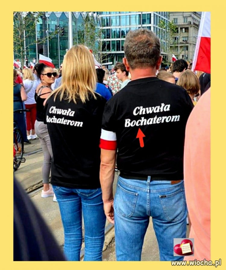 Wykształcony elektorat PiS... Takimi łatwiej rządzić...