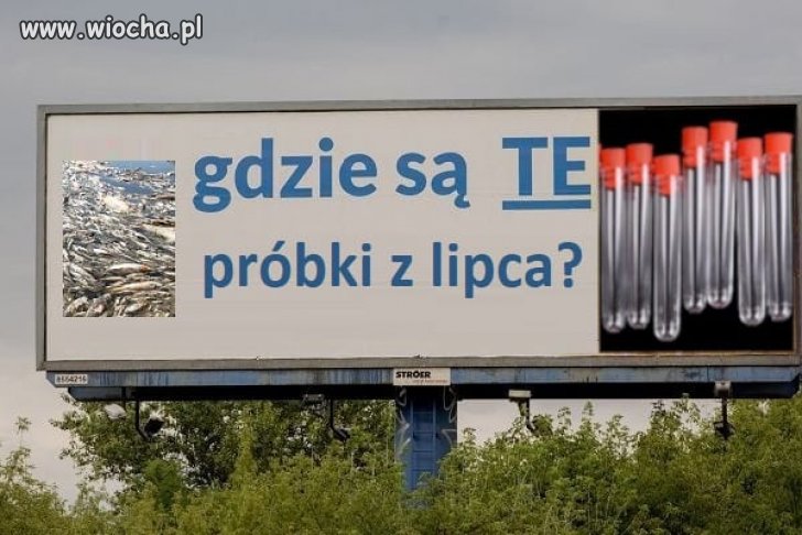 Pytanie jest