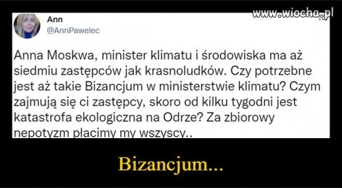 Bo w PiS sa duże rodziny...wiadomo katolicy.