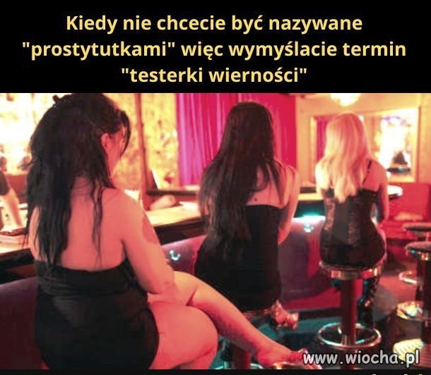 Ile biorą za godzinę testowania?