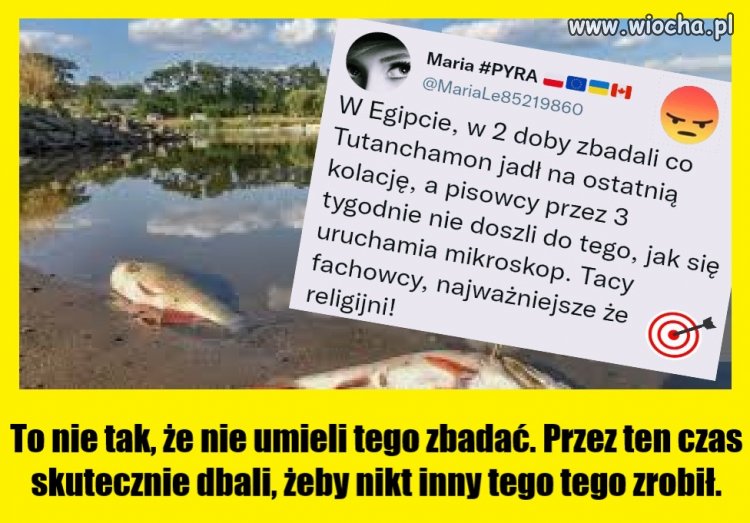 To nie tak, że nie umieli tego zbadać. Przez ten czas...