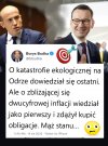 Hobby Mateusza - ceny działek i obligacje - reszta mu spływa do Bałtyku