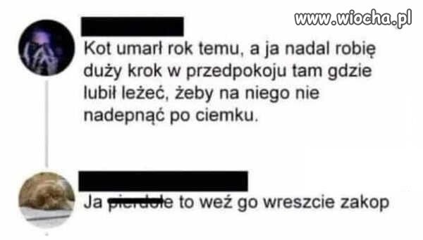 Przyzwyczajenie
