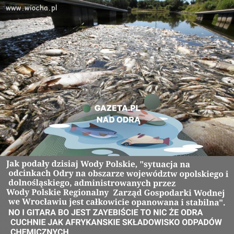 Taka sytuacja kiedy nie trzeba nic dodawać