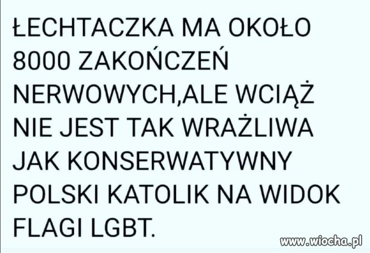 Wiedziałem, że z łechtaczką to ściema...
