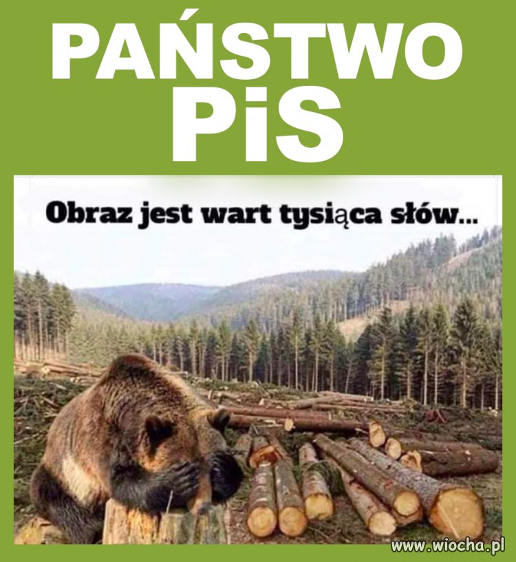 Tak wygląda ''Polska marzeń Kaczyńskiego'', 
