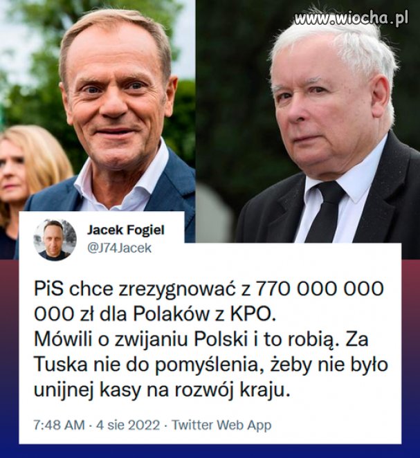 Pisowskie szambo w praktyce