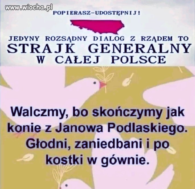 Ja popieram
