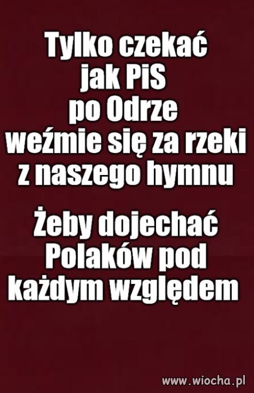 Pracują za nasze, ale nie dla nas