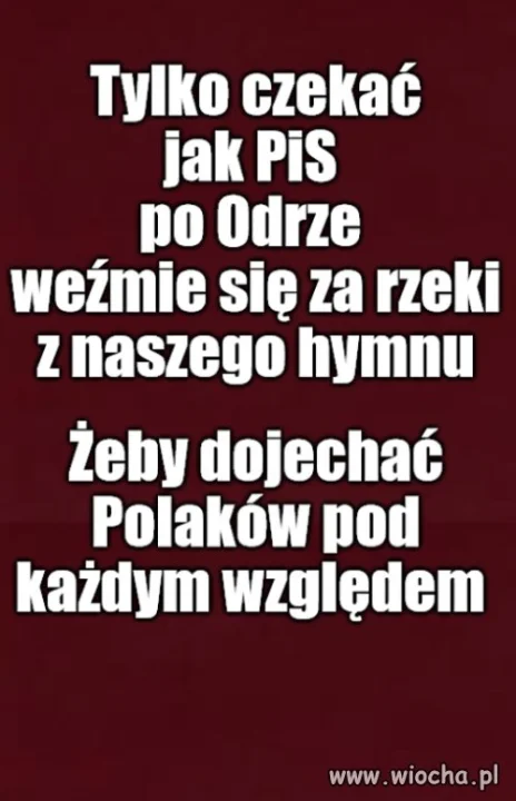 Pracują za nasze, ale nie dla nas